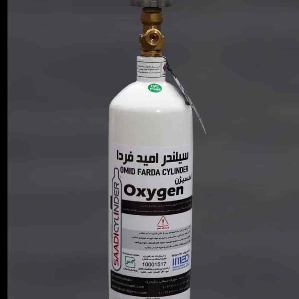 1771496671341.webp